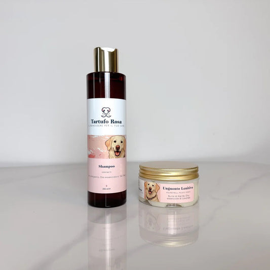 Letty + Shampoo: il kit perfetto per il tuo cane