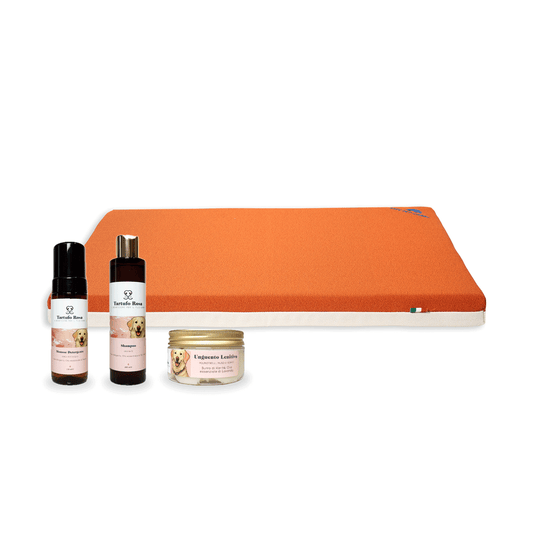 cuccia per cani confortevole in memory foam con kit shampoo incluso