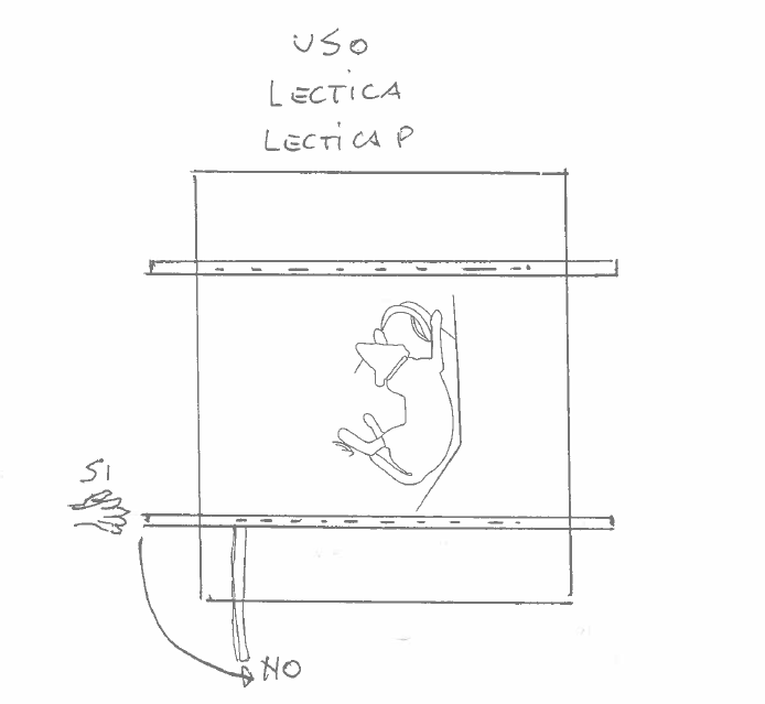 Maniglie ergonomiche della Lectica per facilitare il trasporto del cane