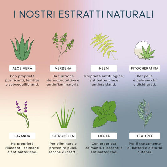 Detergente spray per cani, delicato sulla pelle e pratico da usare a secco