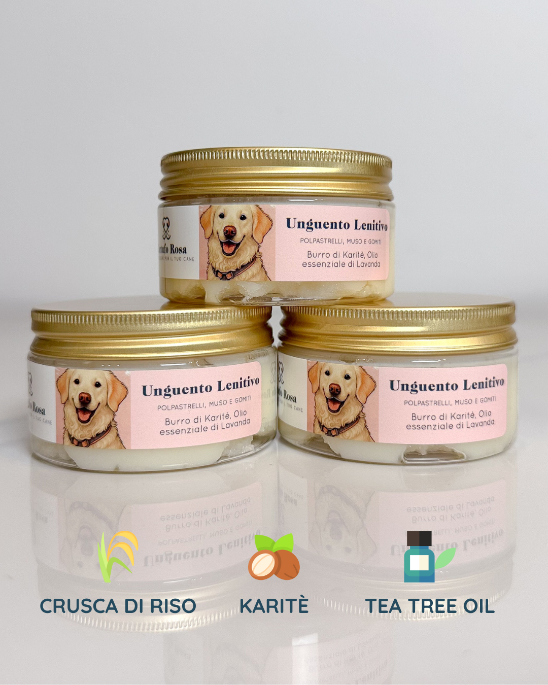 Perché la neve può danneggiare le zampe del cane