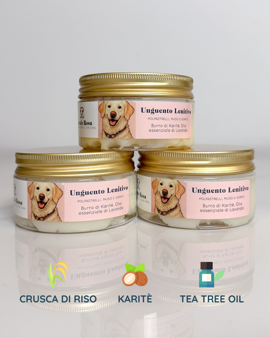 Perché la neve può danneggiare le zampe del cane