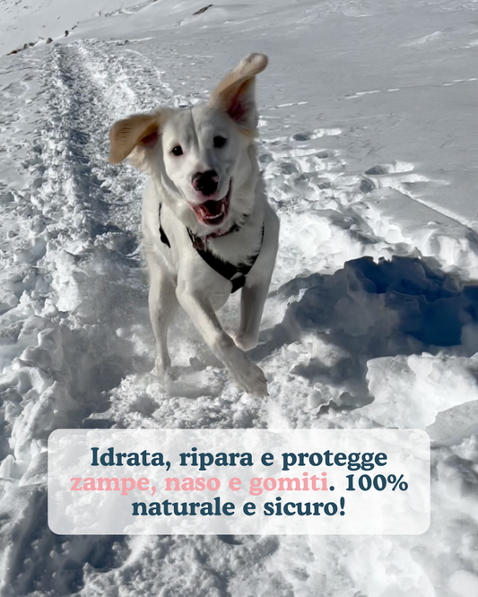 Tartufo Rosa sulla neve con Soraya