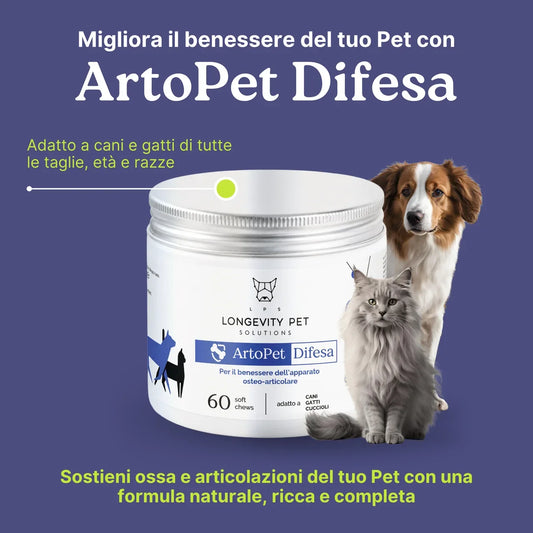 Integratore per le articolazioni del cane: come sostenere mobilità e riposo ogni giorno