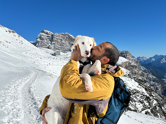 Avventure invernali con il proprio cane