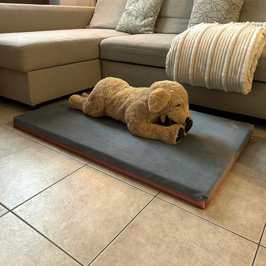 Letty Velvet – Cuccia ortopedica in velluto Memory Foam