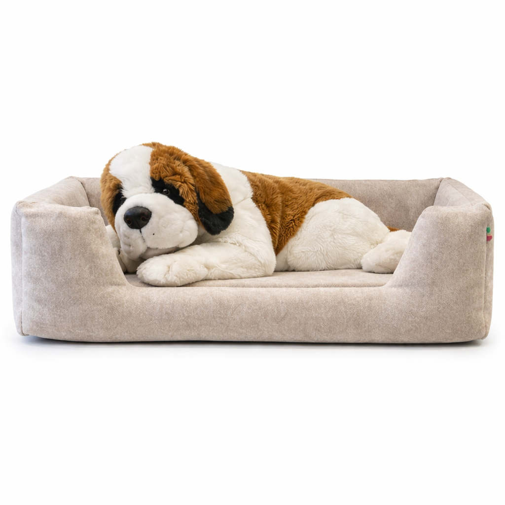 Il cane dorme male? 7 segnali da non ignorare (e come aiutarlo davvero)
