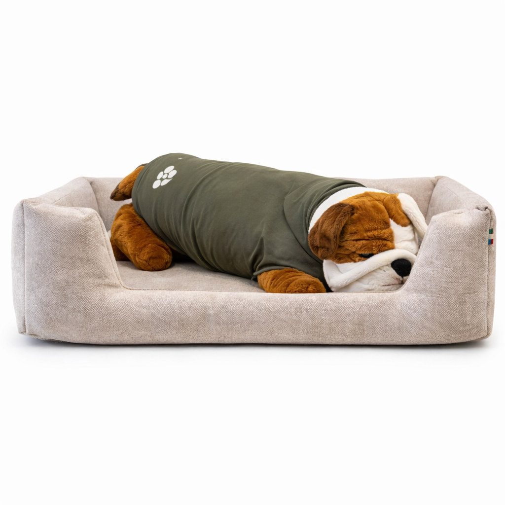 Cuccia in Memory Foam per Cani: 5 Consigli Pratici per Scegliere quella Giusta