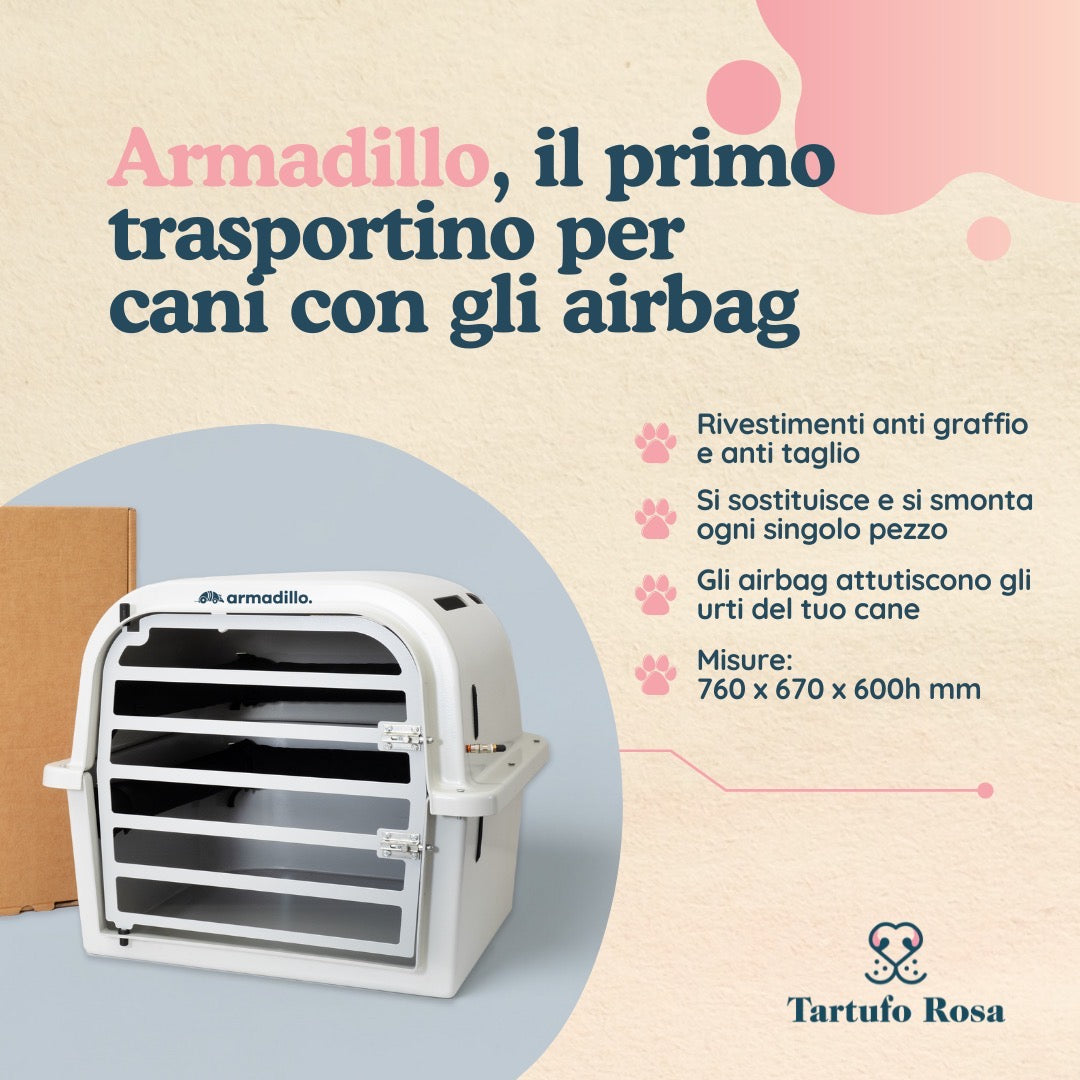 Trasportino per cani in auto: come scegliere quello sicuro (e gli errori da evitare)