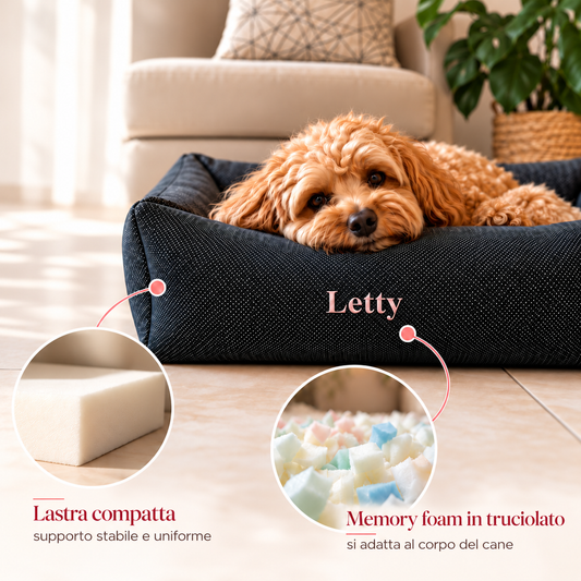 Benessere del cane: 7 consigli per la vita quotidiana | Tartufo Rosa