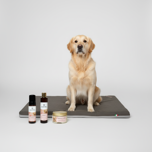 Cuccia ortopedica cane in memory foam: recensione e benefici per il benessere del tuo cane