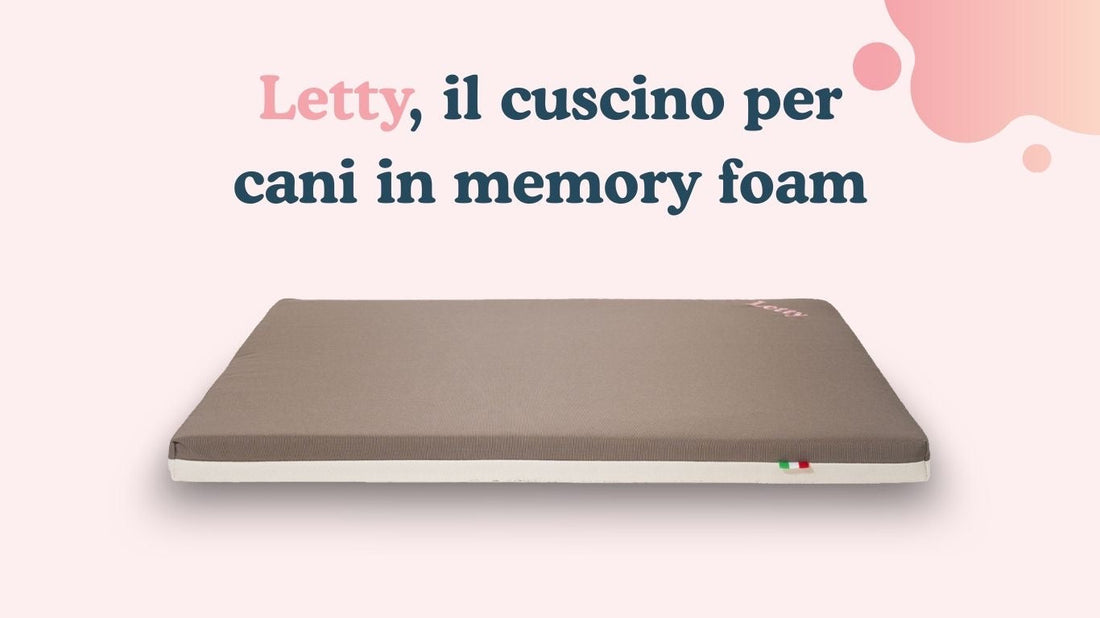 Letty cuscino in memory foam per cani anti decubito