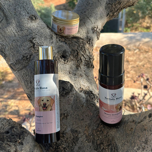 Come scegliere lo shampoo giusto per il tuo cane: guida pratica di Tartufo Rosa