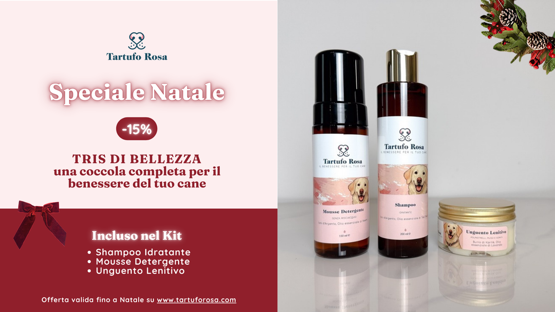 🎄Natale sta arrivando: come proteggere il tuo cane dal freddo (e i prodotti consigliati da Tartufo Rosa)