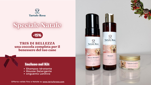 🎄Natale sta arrivando: come proteggere il tuo cane dal freddo (e i prodotti consigliati da Tartufo Rosa)