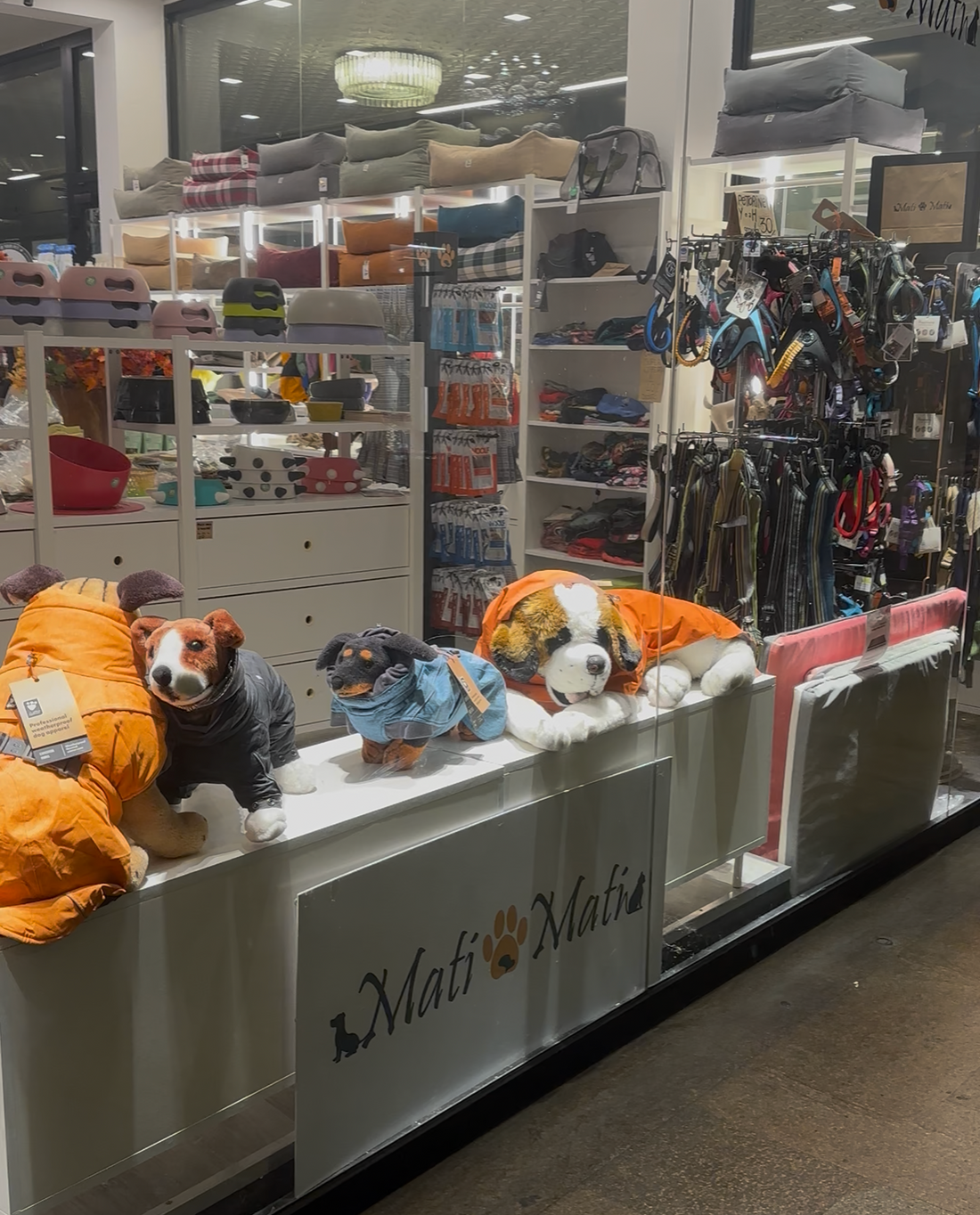 Quando la qualità incontra la qualità 🐶.