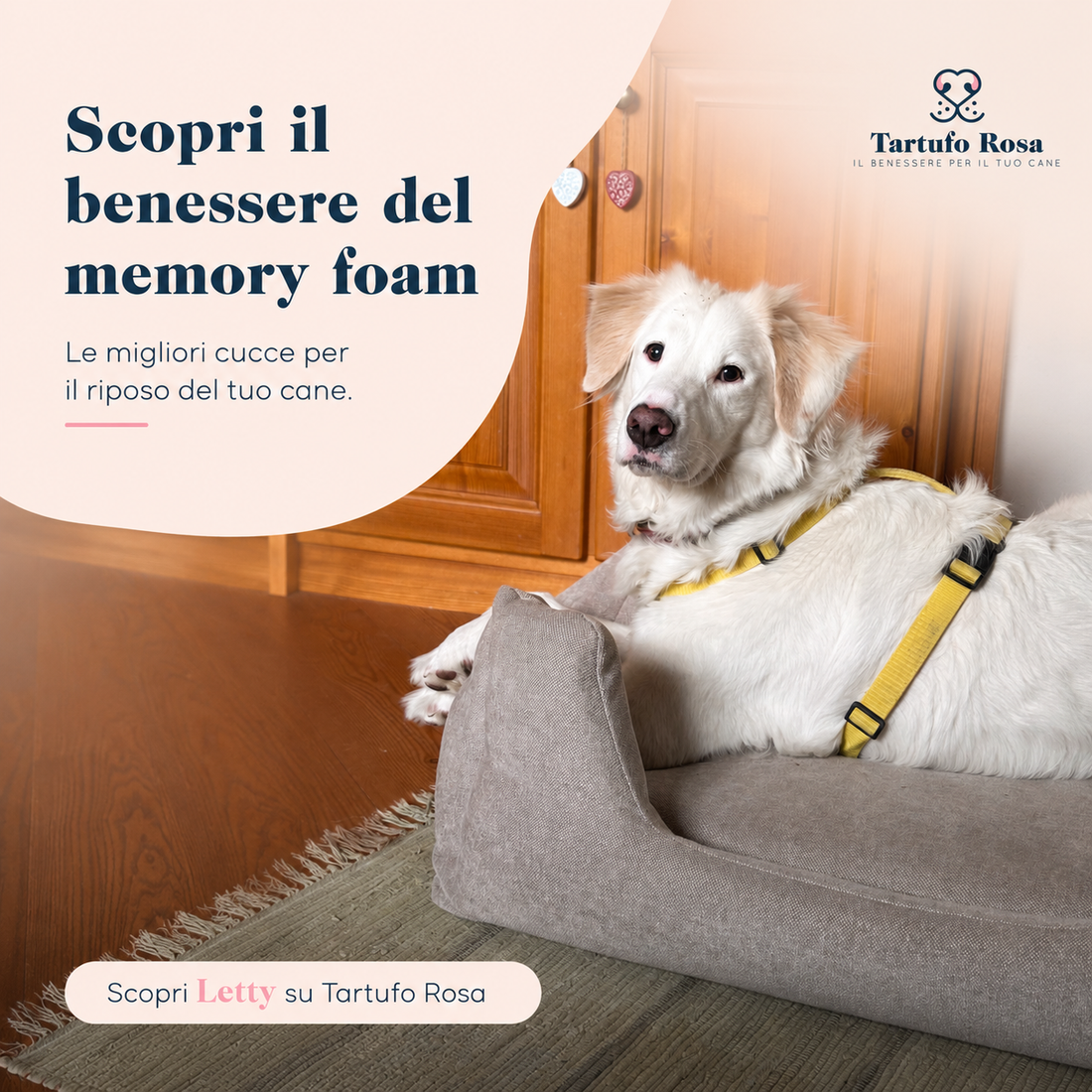 Cuccia in memory foam per cani: perché dormire bene migliora anche il benessere mentale