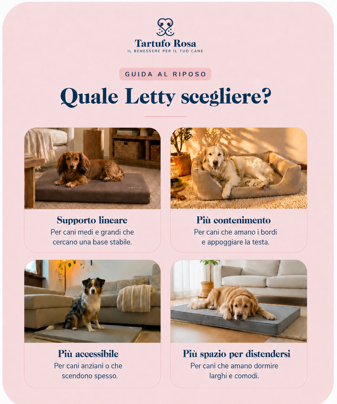 Quale Letty scegliere? Guida alla cuccia ortopedica per cani