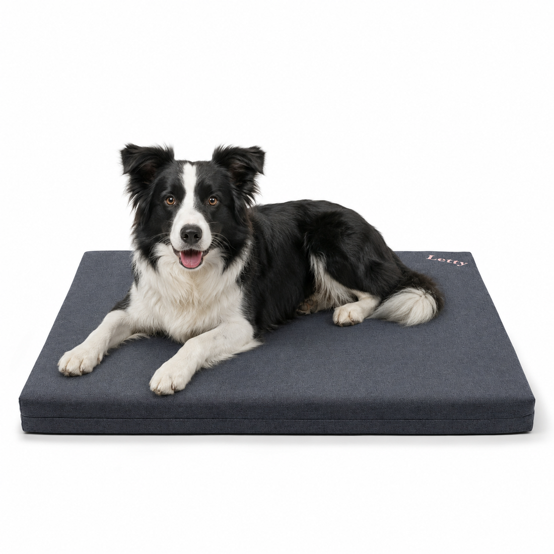 Memory Foam o Ovatta per il Cuscino del Cane? Cosa Cambia Davvero