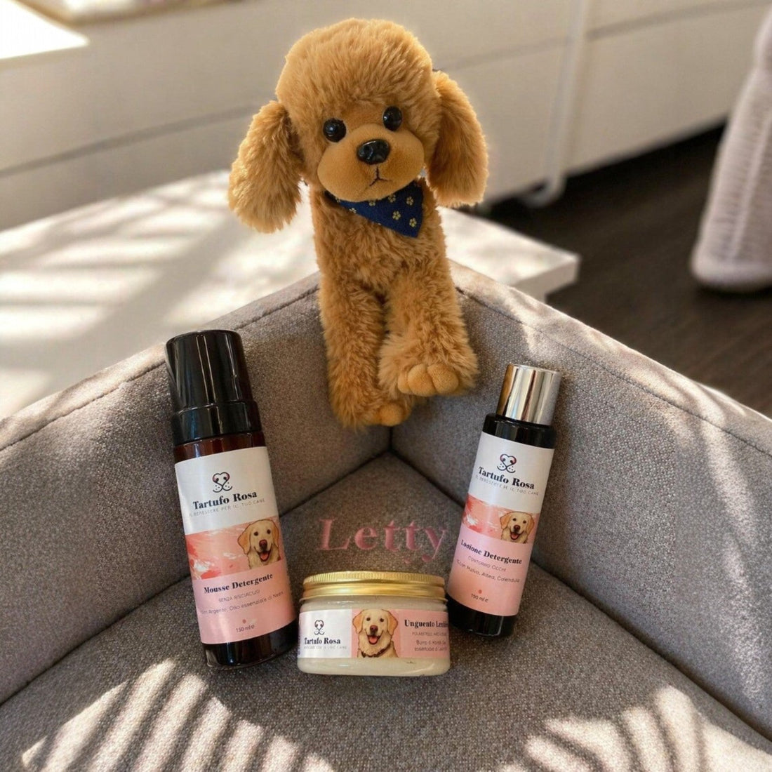 Cuccia ortopedica e mousse detergente per cani | Il kit perfetto per ogni uscita
