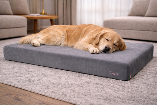Cuccia Memory Foam per Cani: perché non basta che sia morbida