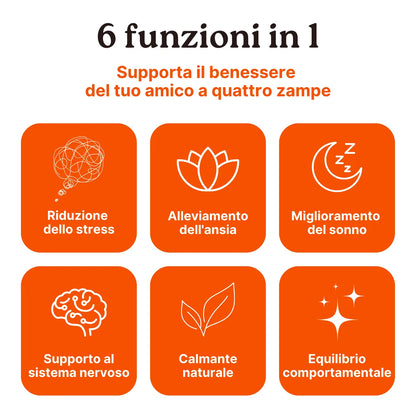 CalmPet – Supporto Naturale per Stress e Rilassamento | Longevity Pet