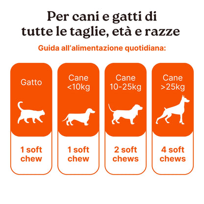 CalmPet – Supporto Naturale per Stress e Rilassamento | Longevity Pet