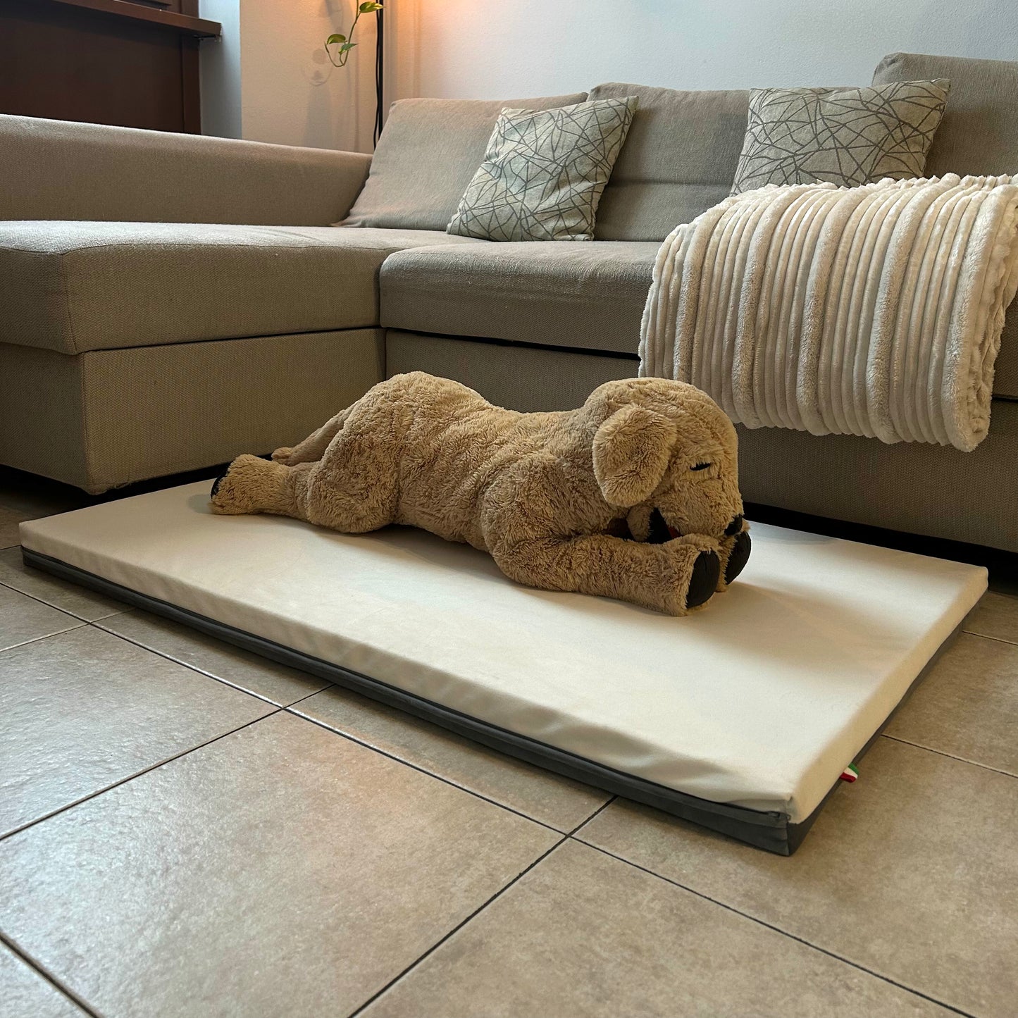 Cane steso sul cuscino in velluto per cani di taglia grande