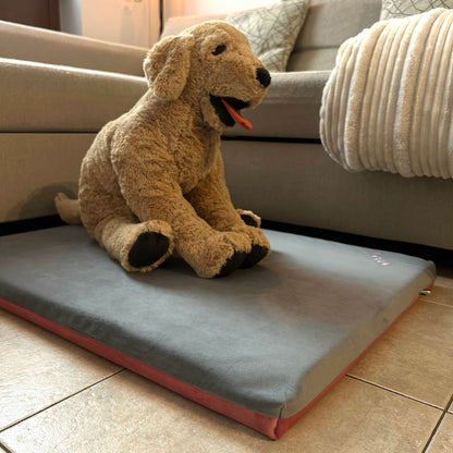 Cane di taglia media seduto sul cuscino in velluto