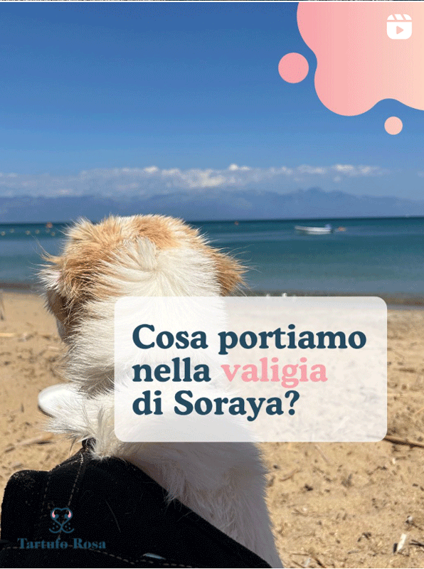 cosa portiamo nella valigia del nostro cane