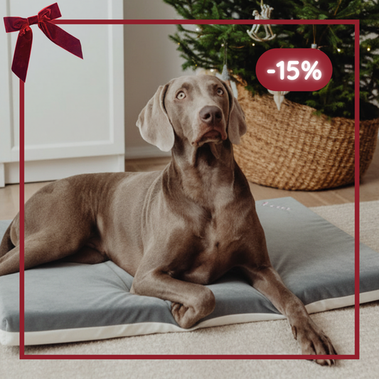 Letty Velvet Premium - Memory Foam Ortopedico per Cani | Tartufo Rosa