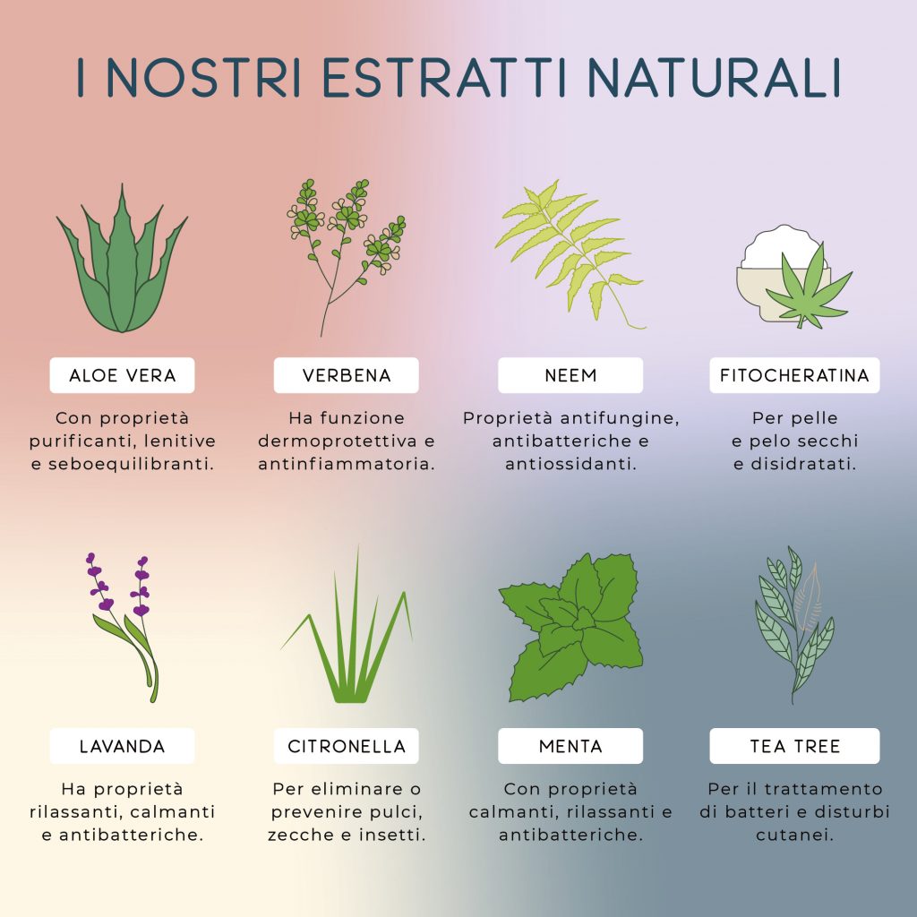 Shampoo Lavaggi Frequenti