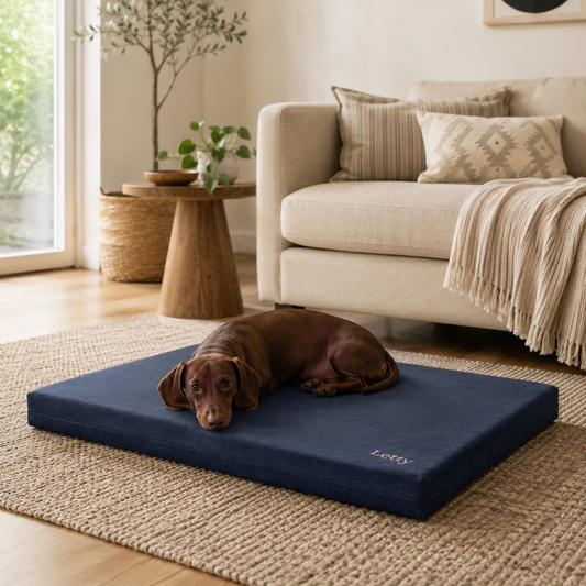 Letty Memory Foam – Tappetino Ortopedico