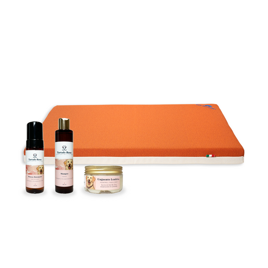 Kit Letty + Cura Completa