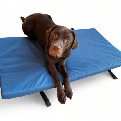 cuccia per cani disabili