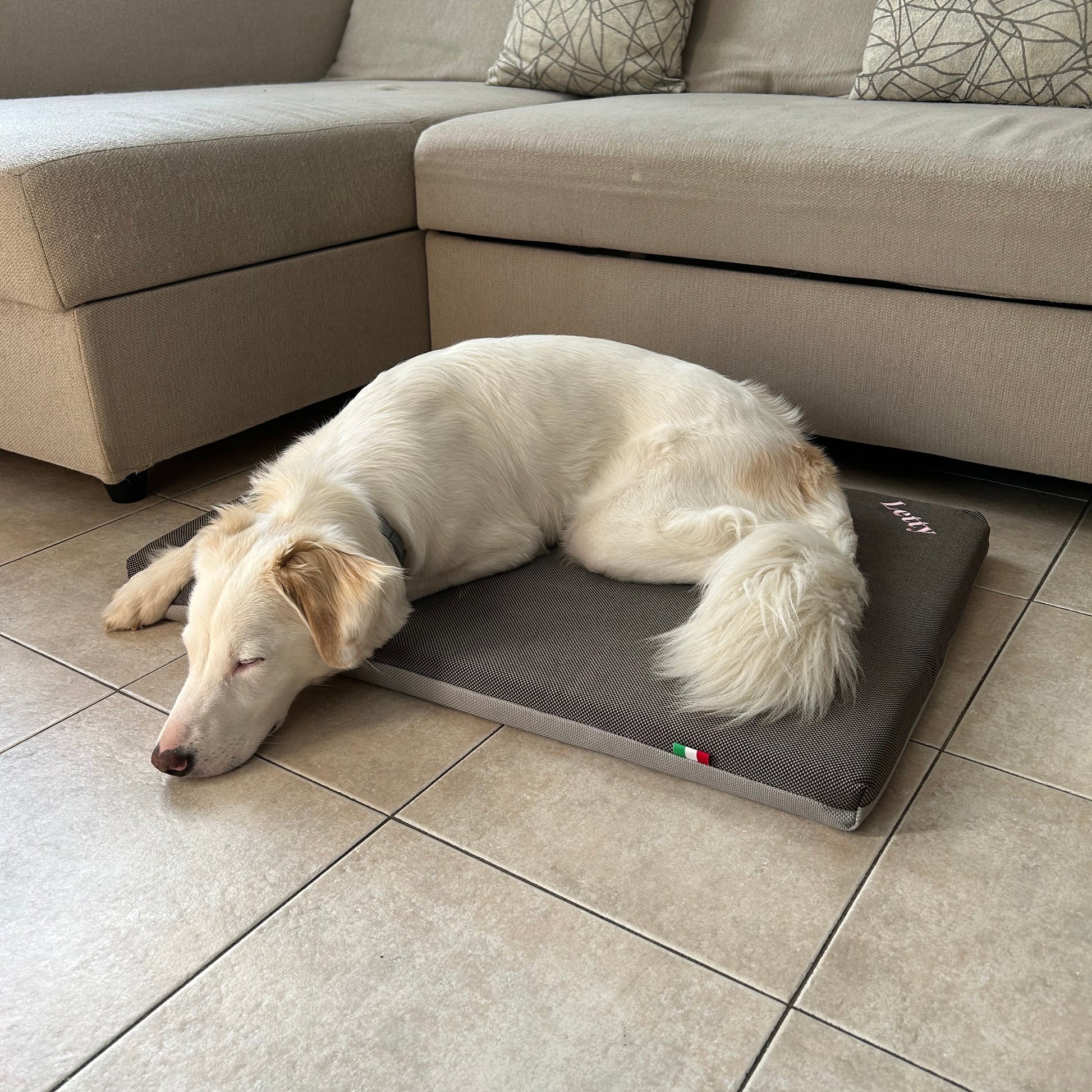 cuccia ortopedica per cani anziani o con problemi articolari