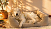 Cuccia Letty memory foam cani