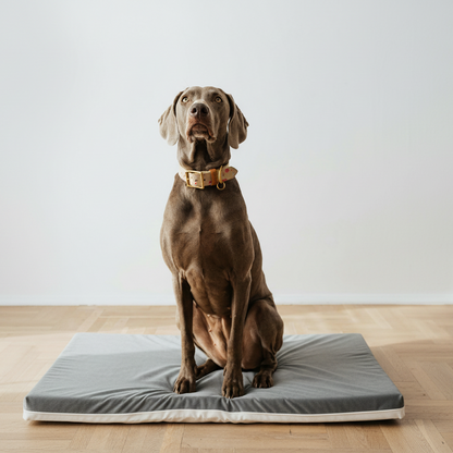 cuscino per cani grande in memory foam in velluto per l'inverno