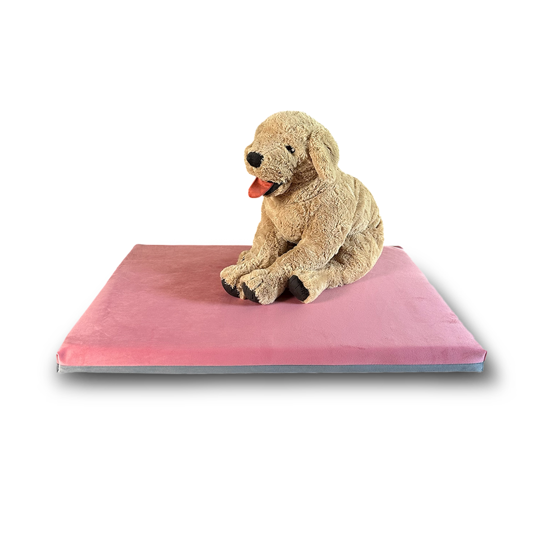 Cane seduto sulla cuccia in velluto