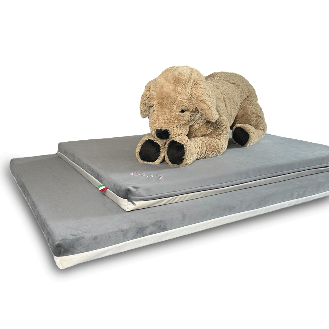 Cuccia in velluto per cani medi e grandi