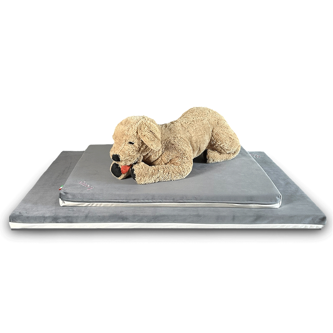 Cane steso sulla cuccia Letty per cani medi e grandi