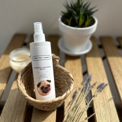 Shampoo Lavaggio a Secco