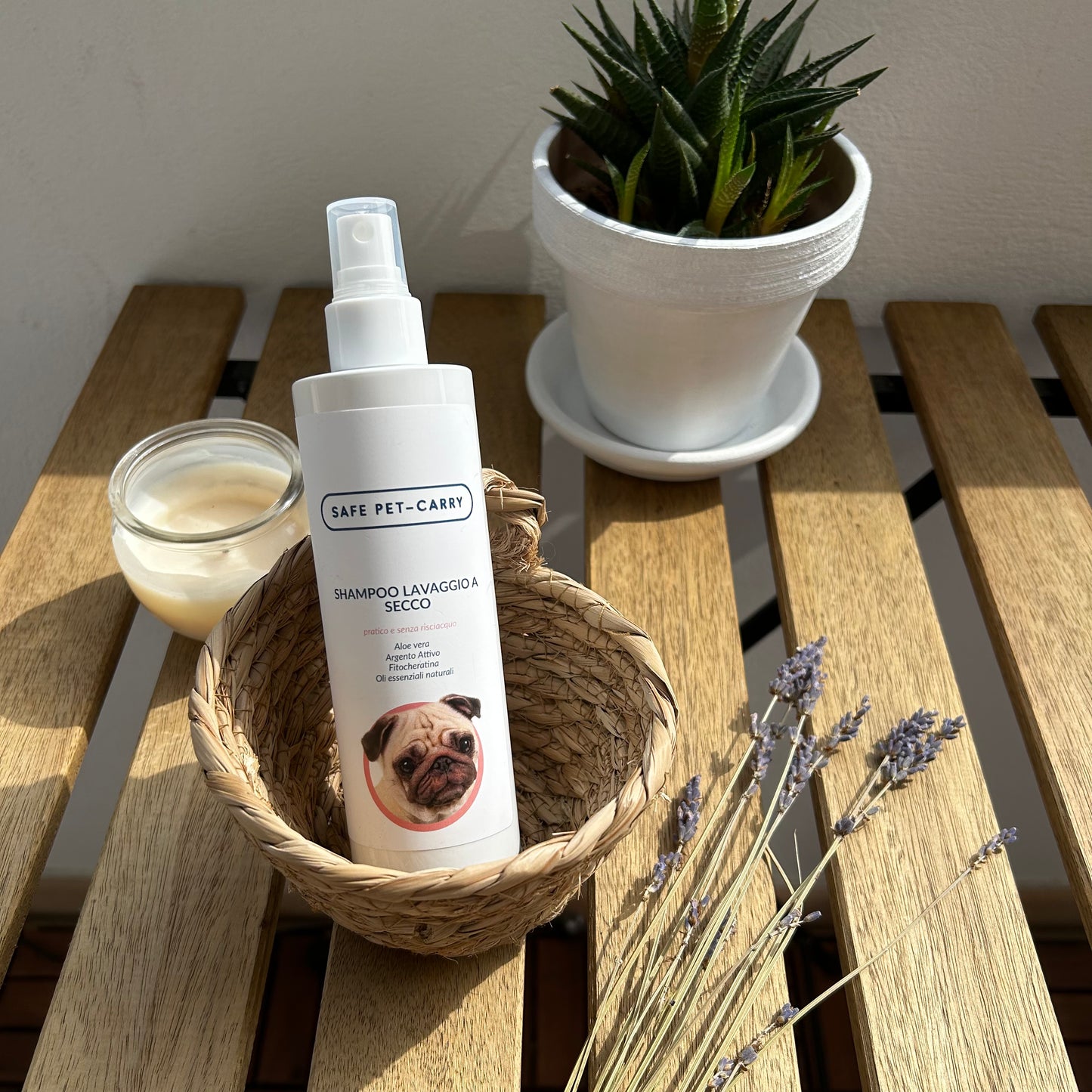 Shampoo Lavaggio a Secco
