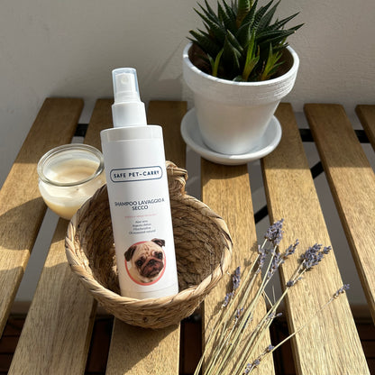 Shampoo Lavaggio a Secco