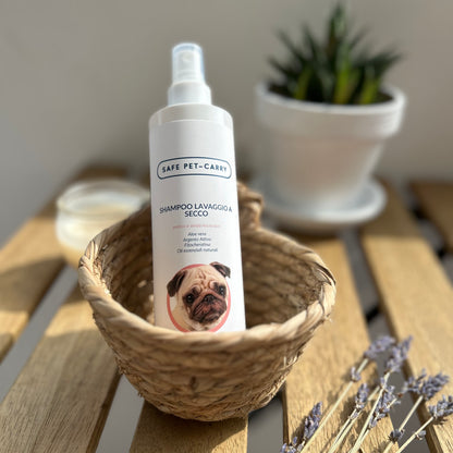 Shampoo Lavaggio a Secco
