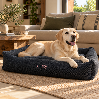 Ambientazione illustrativa Letty Artigianale L 110x70 con Labrador in salotto