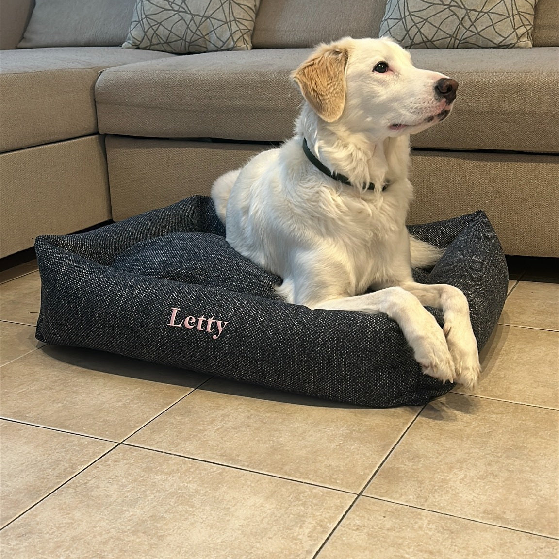 Cane sulla cuccia Letty con sponde in memory foam