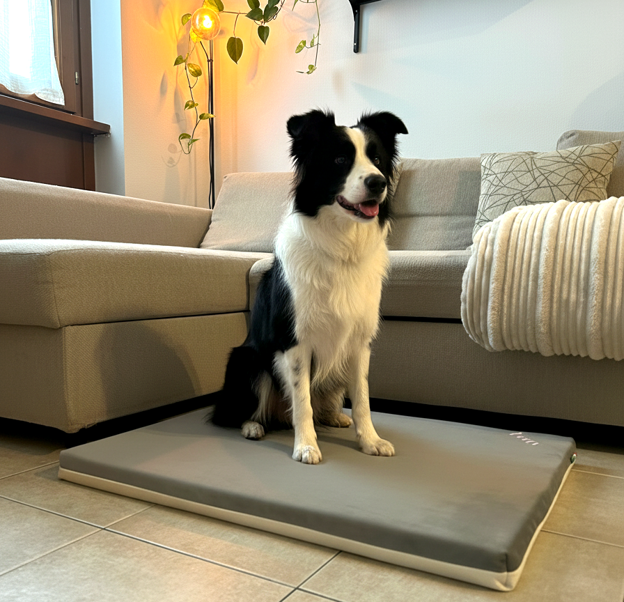 Letty Velvet Premium | Tartufo Rosa