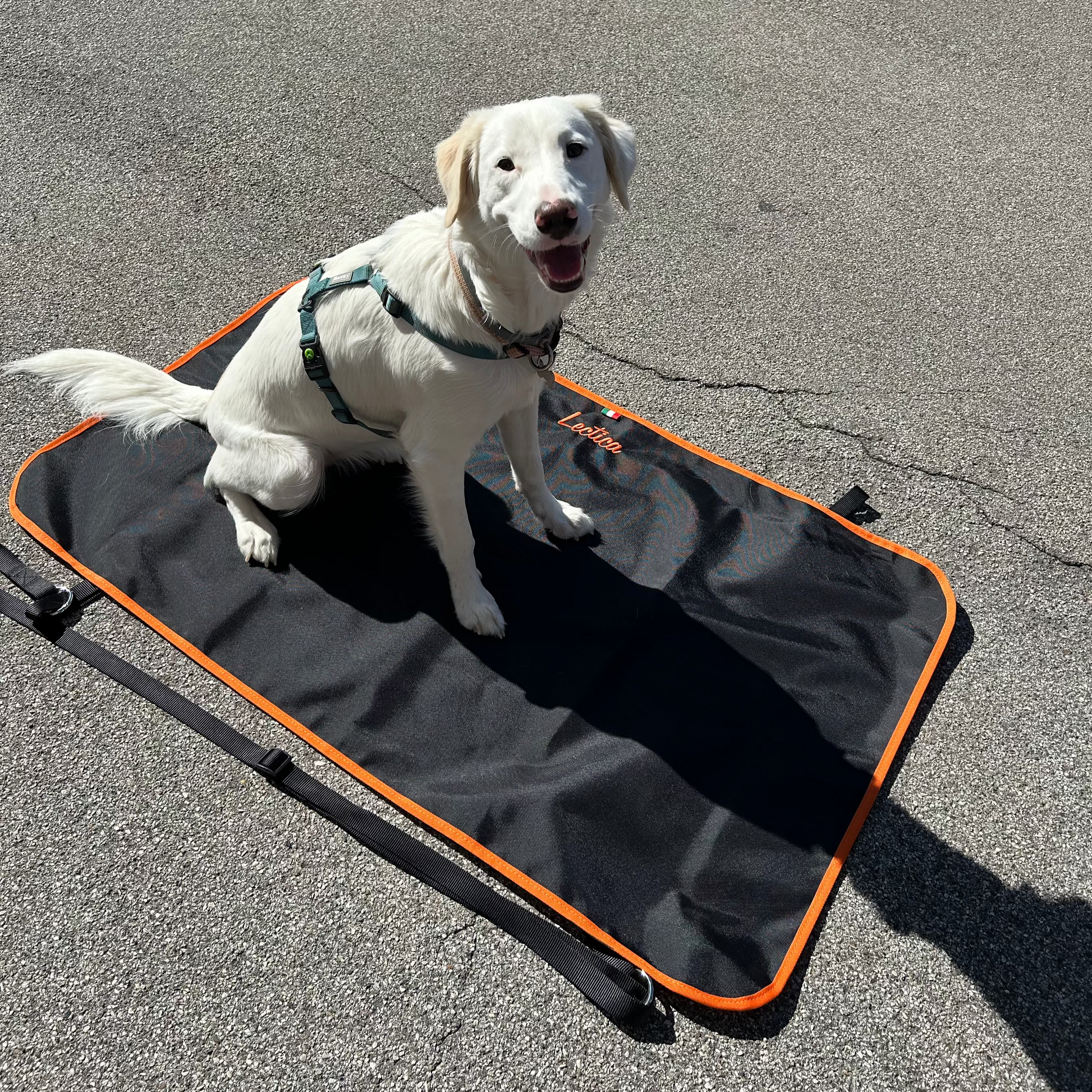 portantina per cani
