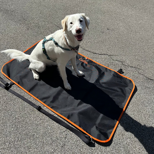 portantina per cani